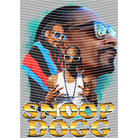 idol singer-GS  2052